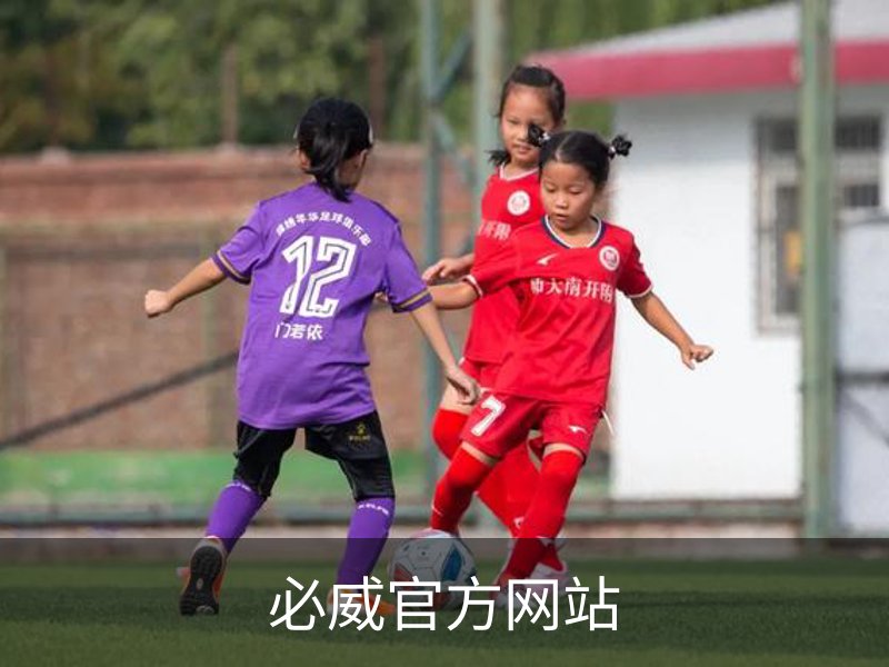 必威官方网站简介